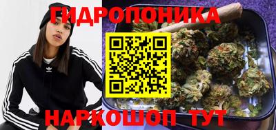 ГАЛЛЮЦИНОГЕННЫЕ ГРИБЫ Волжский