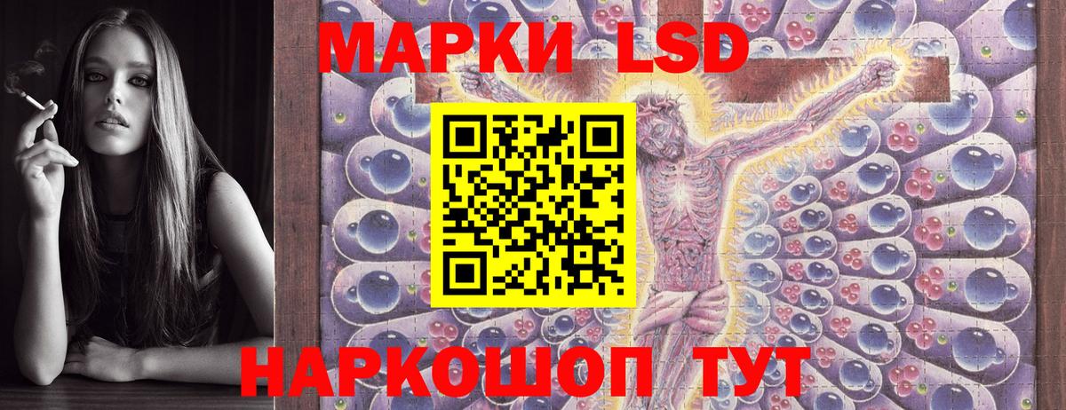 Наркотические марки 1500мкг  Вход с VPN  Наркотические марки  Бердск 