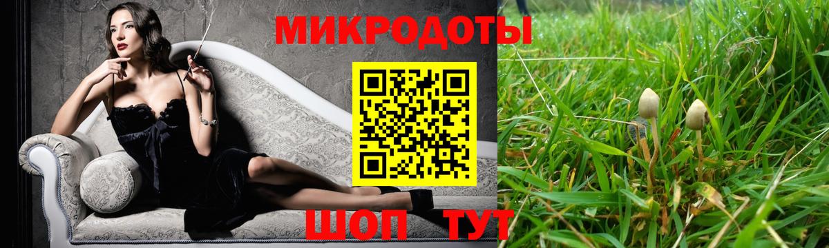 Псилоцибиновые грибы MAGIC MUSHROOMS Бердск