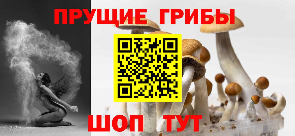 Псилоцибиновые грибы Psilocybe  Псилоцибиновые грибы ЛСД  Бердск  Вход с VPN 